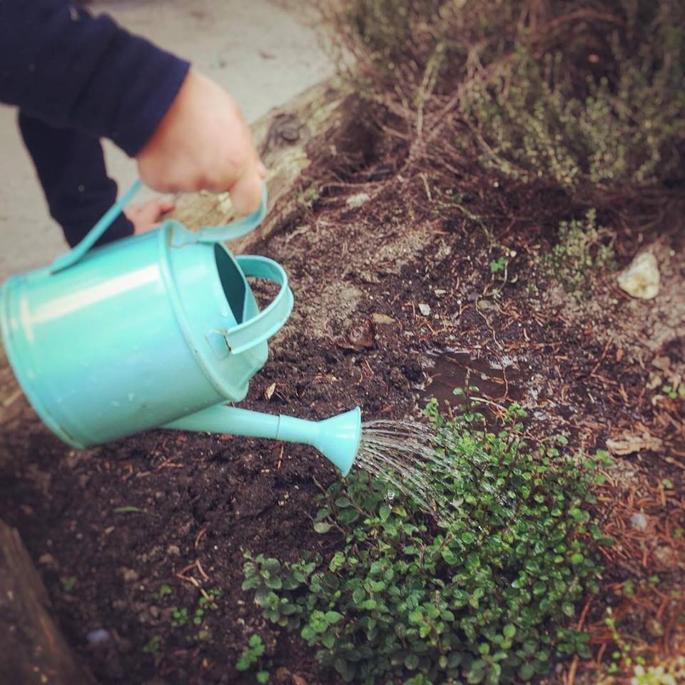 Gardening @ The Green School