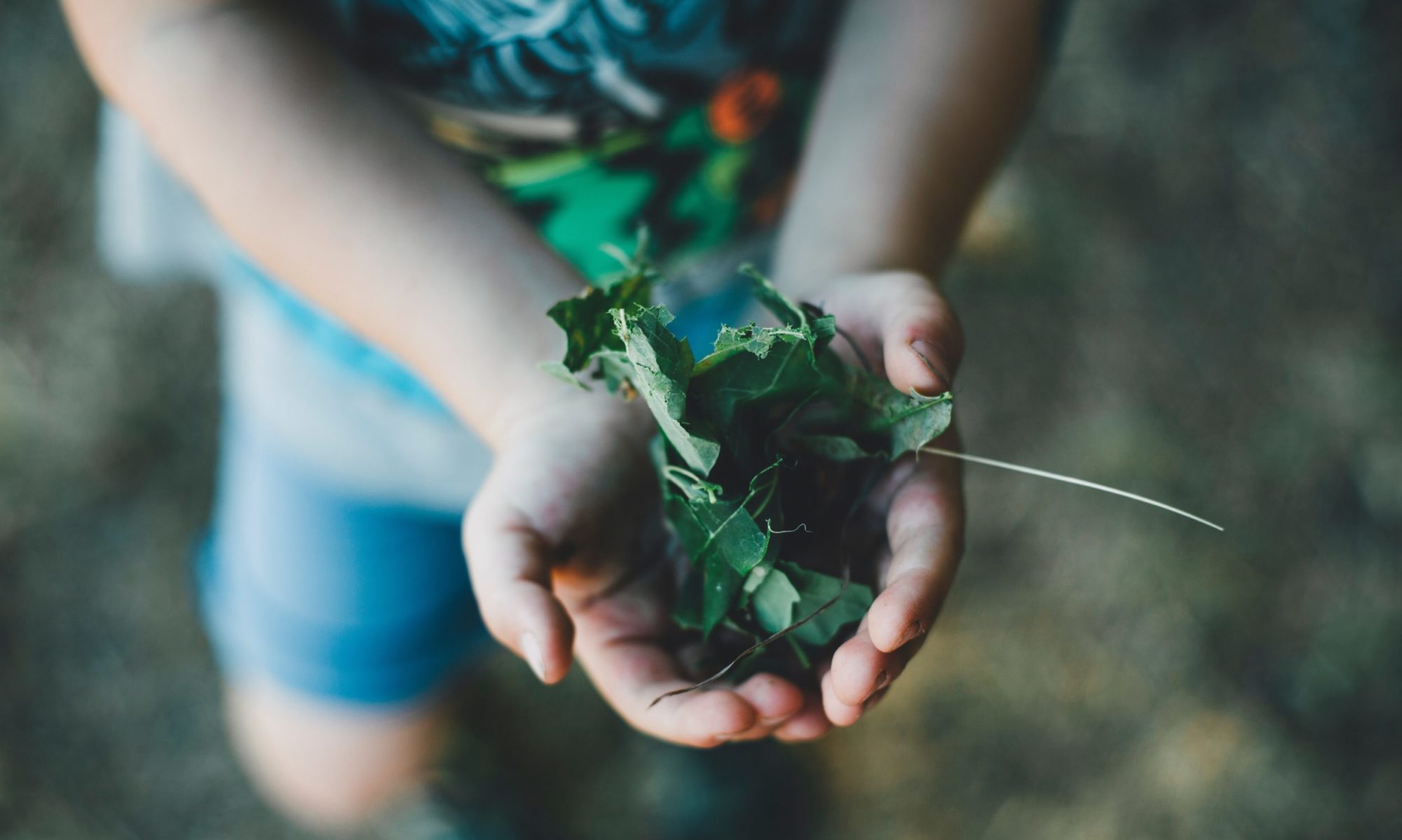 The Green School - Asilo nido e Materna bilingue ad indirizzo Montessori - Genova