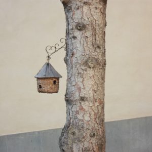 Casetta per uccellini appesa ad un albero