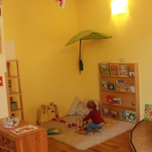 Interno del nido
